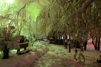 Прикрепленное изображение: DSC_0210_.jpg